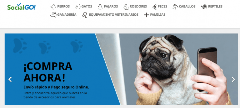 Social go