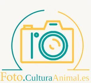 Logo-cultura-animal-foto