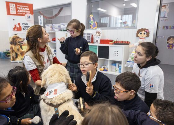 perros y niños con sindrome de down