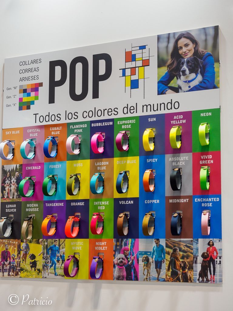 Correas de colores