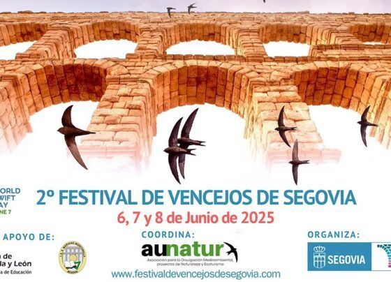 cartel del festival vencejos Segovia