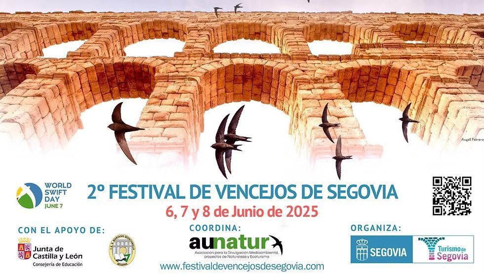 cartel del festival vencejos Segovia