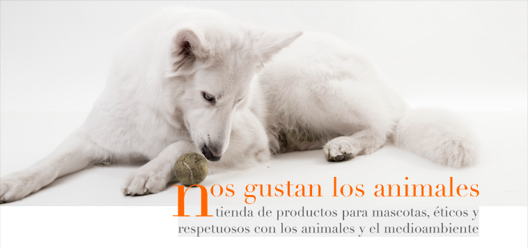 Cabecera de nosgustanlosanimales.es