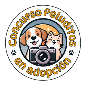 Logotipo concurso