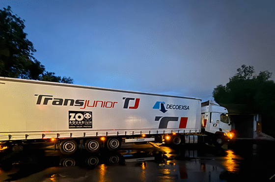 Transporte de decoexsa