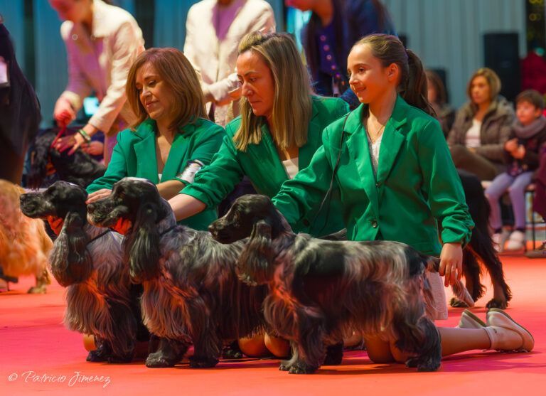 Grupo de cria