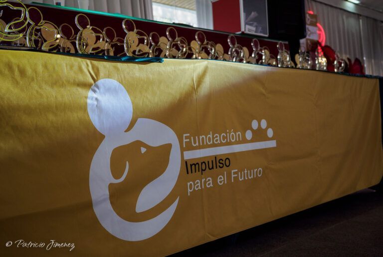 Premios Copa de Criadores