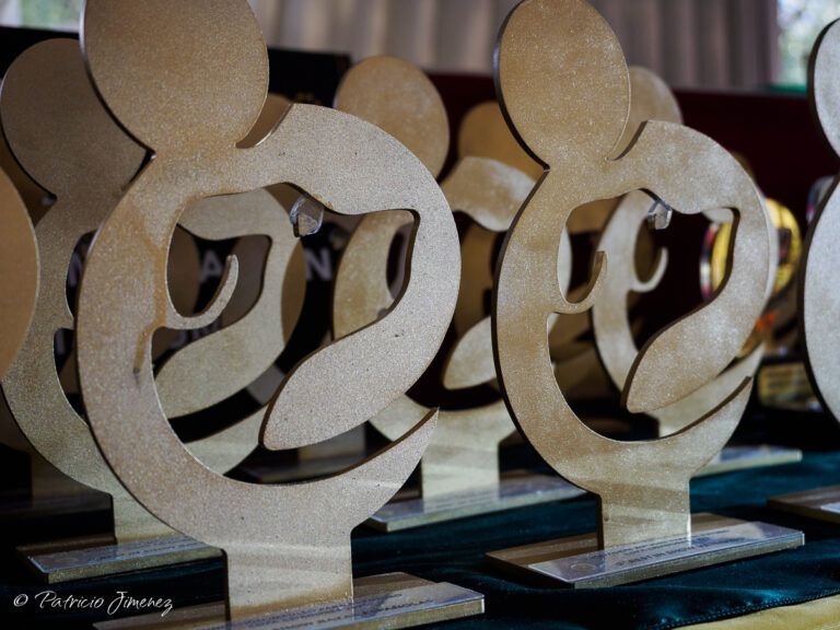 Premios Copa de Criadores