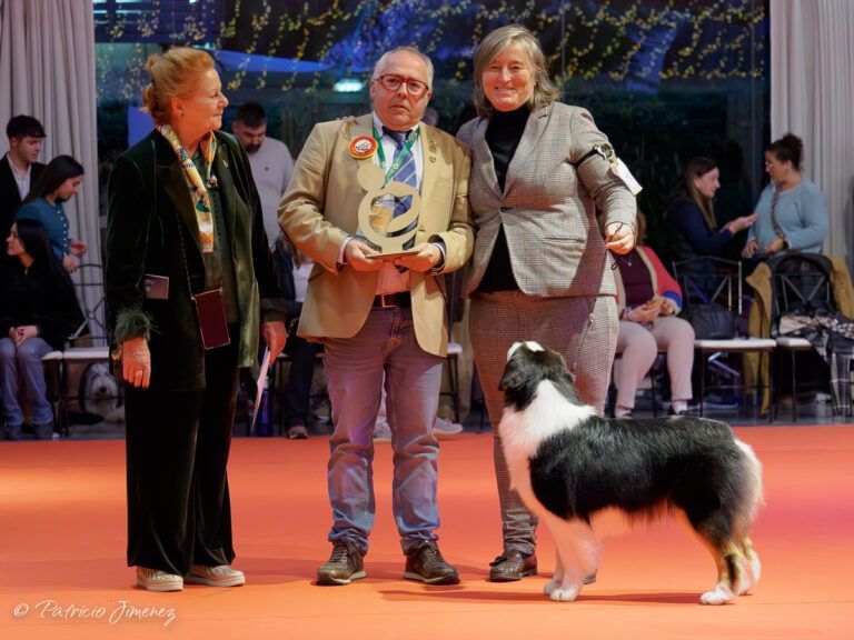 Premiado Copa de Criadores