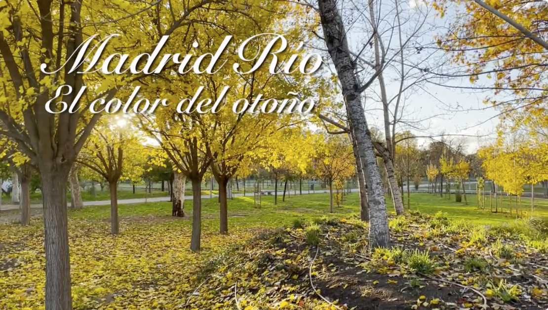 Video Madrid en Otoño
